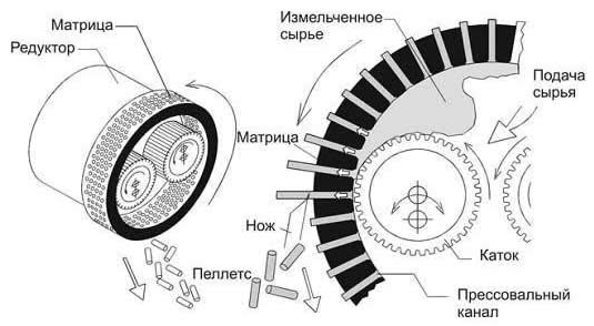 Пресс-грануляторы. Виды,